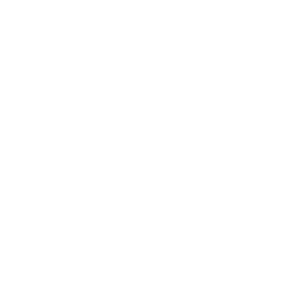 Airmech