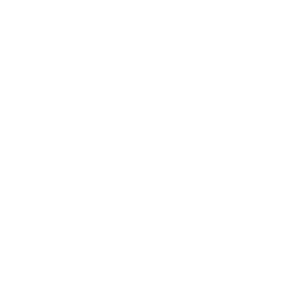 CFDBS