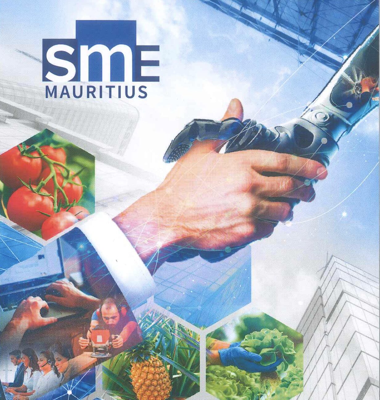 SME grant mauritius scheme, detail by rosemarydigitals